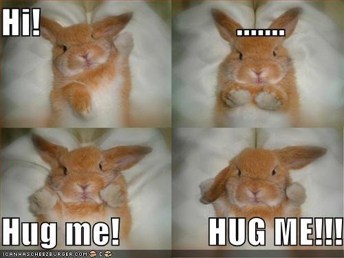 funny bunny pics. Bunnies rule